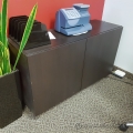 Espresso 2 Door Storage Cabinet
